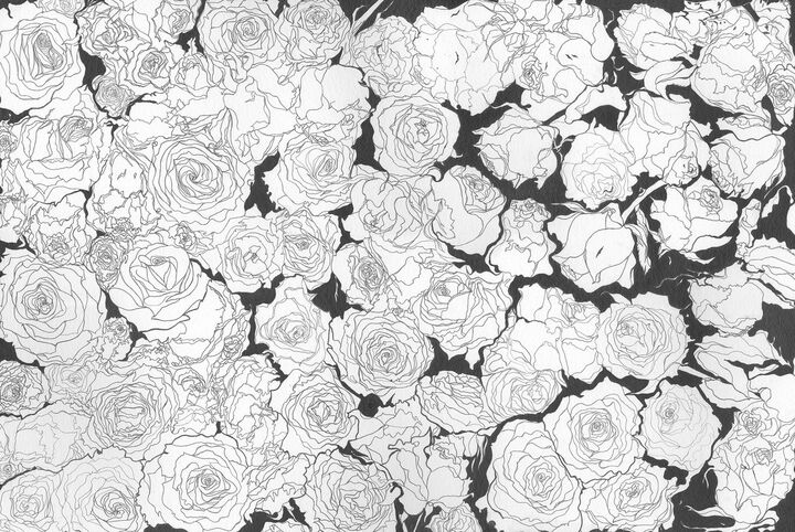 Rosa Moriatur (for Sophie Scholl) - Print on Fine Art Paper